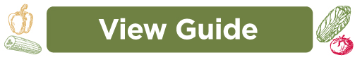 View Guide